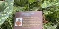Signs educating about biological control in action at the Atlanta Botanical Gardens.