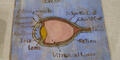 An anatomically correct drawing of an eye by Flannery O’Connor.