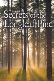 Secrets of the Longleaf Pine: show-poster2x3