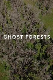 Ghost Forests: show-poster2x3