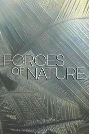 Forces of Nature: show-poster2x3