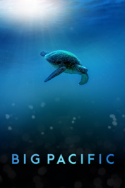 Big Pacific: show-poster2x3