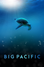 Big Pacific: show-poster2x3